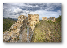 fotografia del castell de Palma